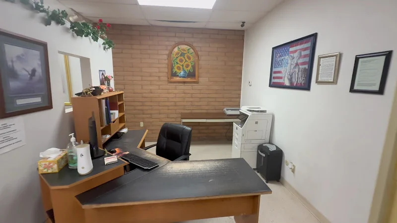 Ventura Professional Services