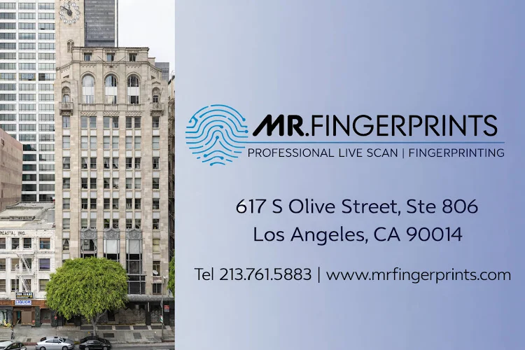 MR Fingerprints