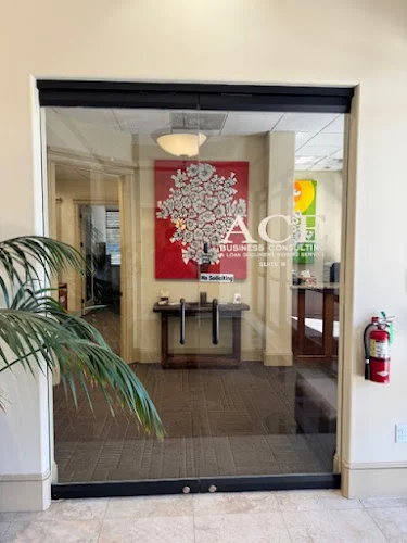 Ace Business Consulting