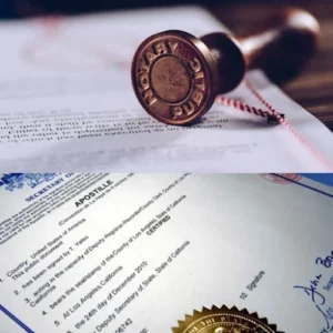 CEDII Mobile Notary & Apostille Services