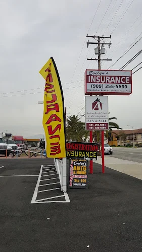 Evelyn's Insurance Agency & Notary Services