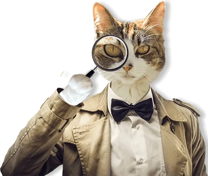 Edmond, Oklahoma Private Investigators, Process Servers, Mediation Service, Notary Public & Mobile Notary, & Polygraph Tests