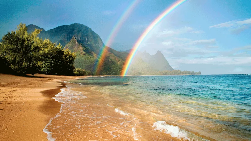 Ohana Mobile Notary Services