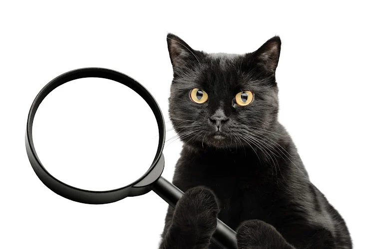 Sneaky Cat Private Eyes, Process Servers, Lie Detection, Mediation Service, Mobile Notary, & Skip Tracing
